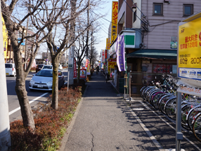 3.そのまま道沿いに真っ直ぐ進んでください。